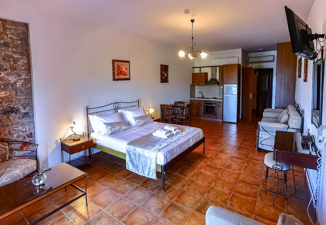 Superior Apartment__20