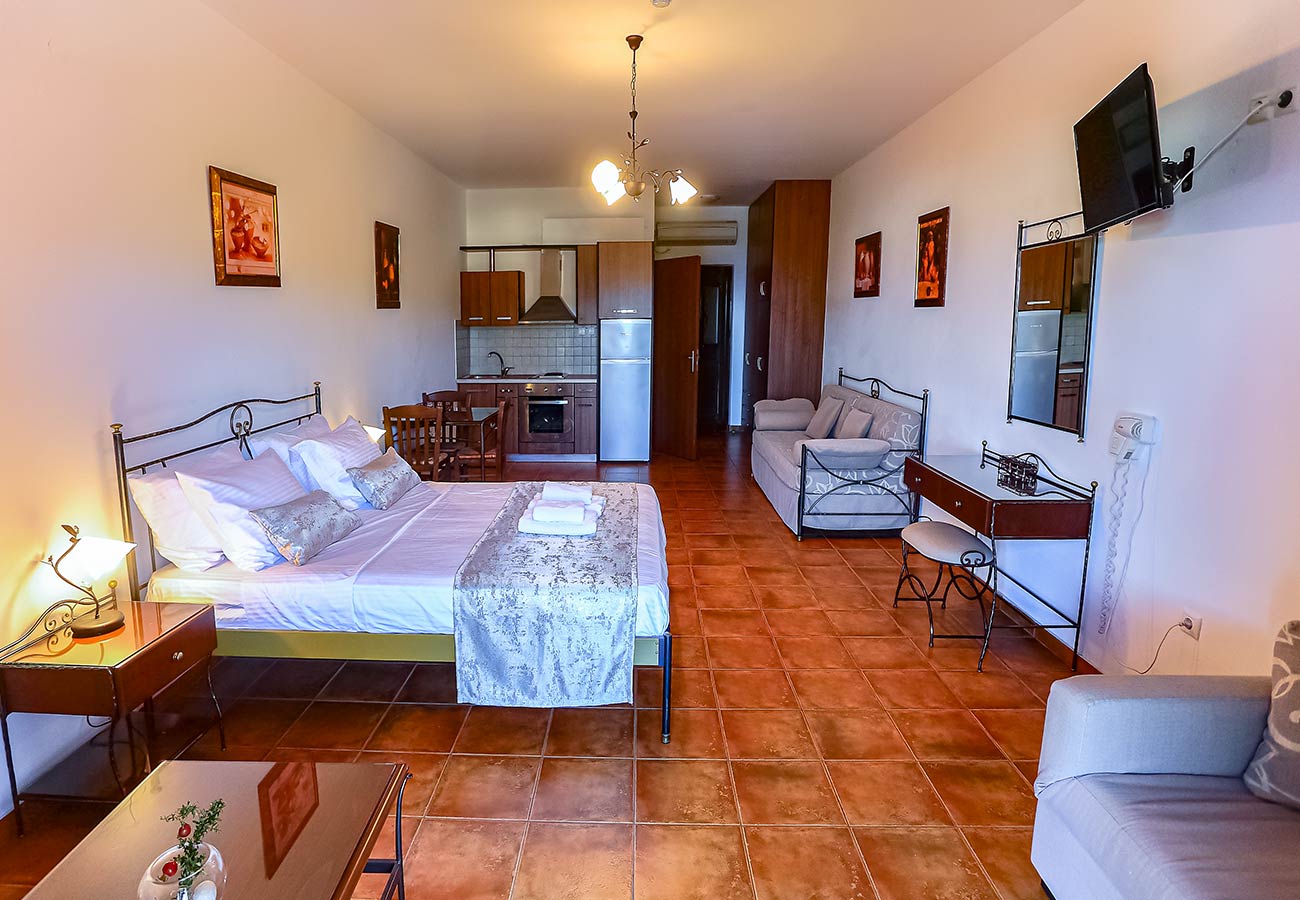 Superior Apartment__22