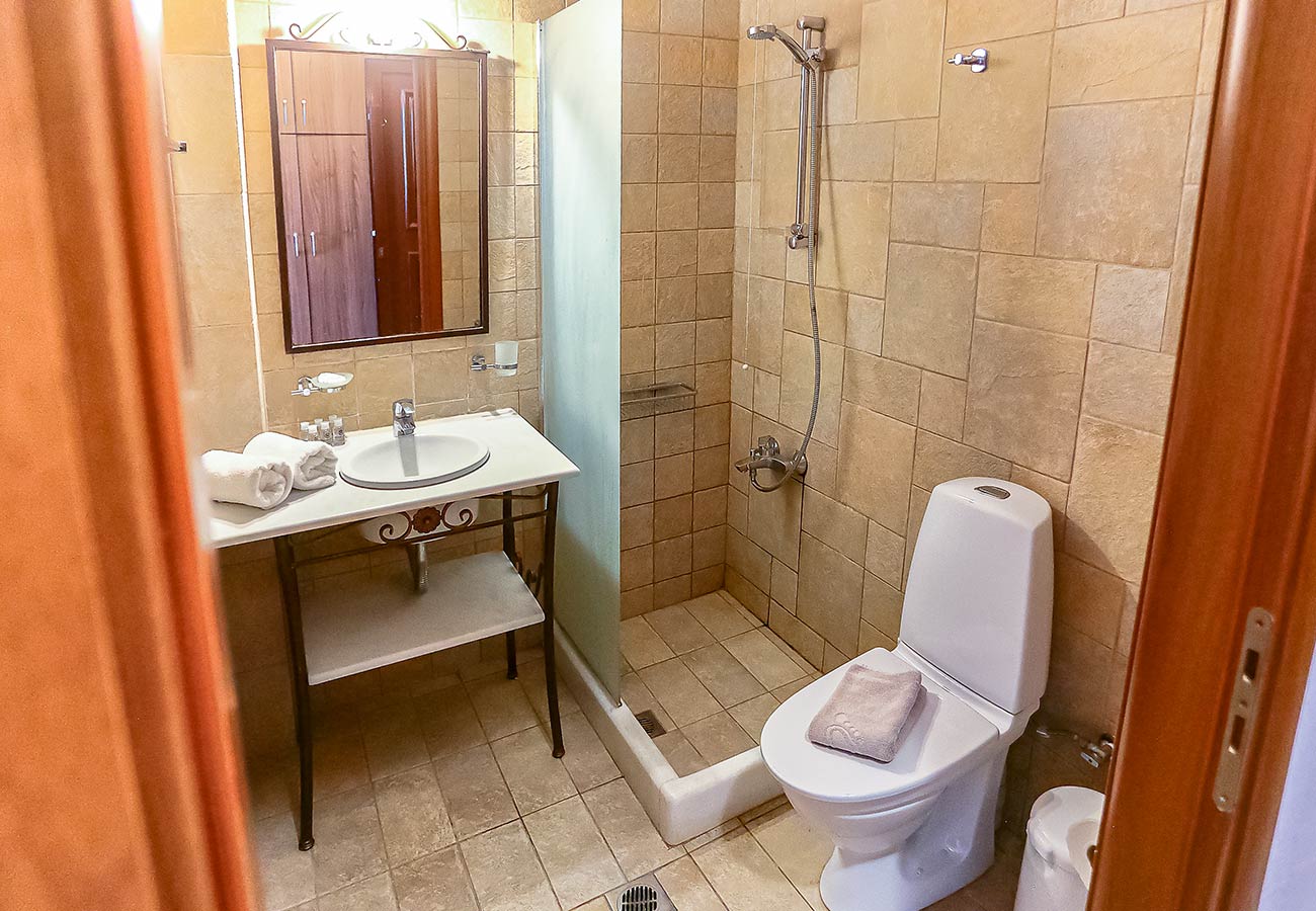 Superior Apartment__7